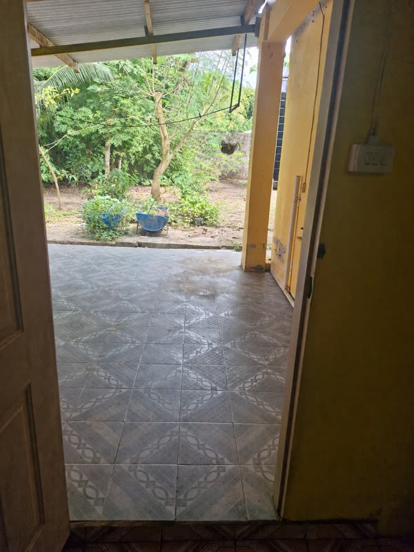 Back patio