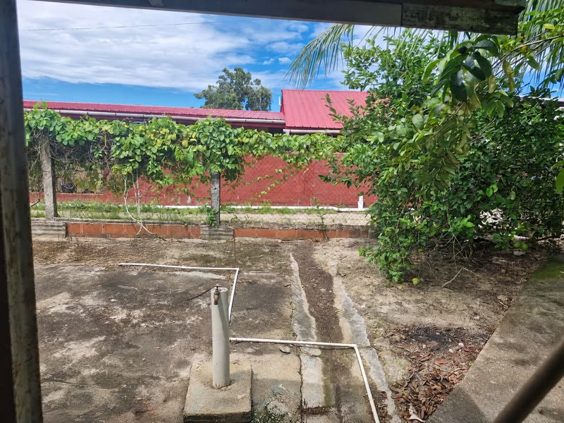 Back yard
